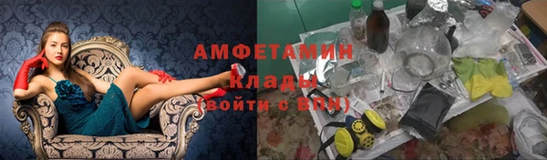 прущие грибы Баксан