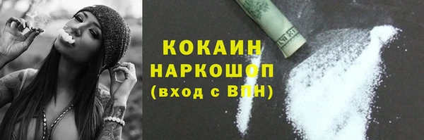прущие грибы Баксан