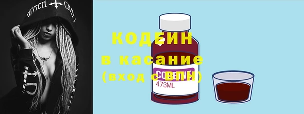 прущие грибы Баксан