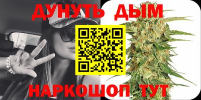 стаф Будённовск