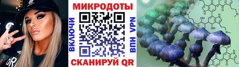 хочу Звенигород Галлюциногенные грибы MAGIC MUSHROOMS