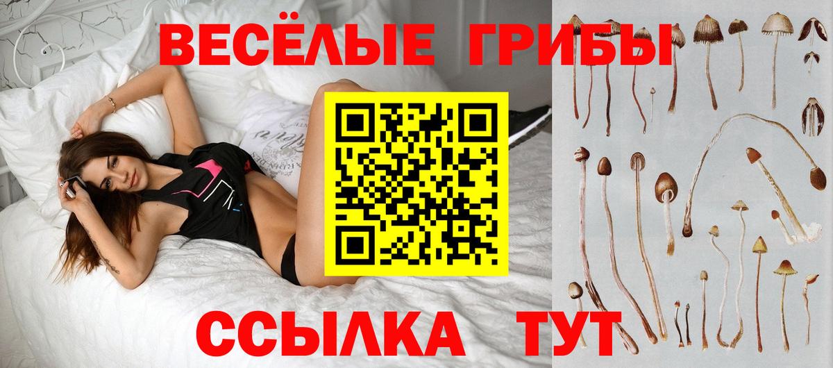 Псилоцибиновые грибы Psilocybe  Галлюциногенные грибы MAGIC MUSHROOMS  Вход с VPN  Звенигород 